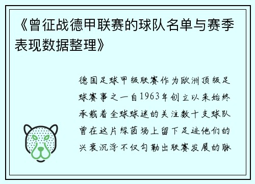 《曾征战德甲联赛的球队名单与赛季表现数据整理》