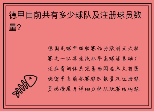德甲目前共有多少球队及注册球员数量？